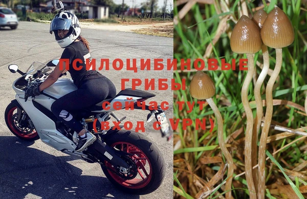 МДПВ Алзамай